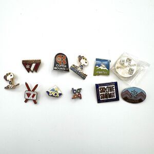 Lot of 11 Vintage Enameled Ski Pins Snoopy Purgatory Taos Smugglers Notch